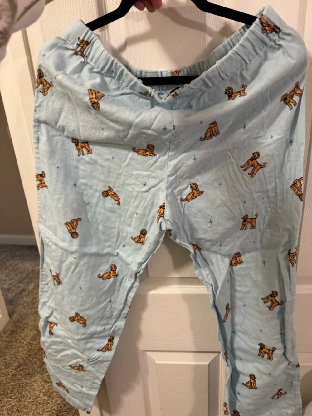 J. Crew Pale Blue Goldendoodle Lounge Pants - Picture 6 of 6